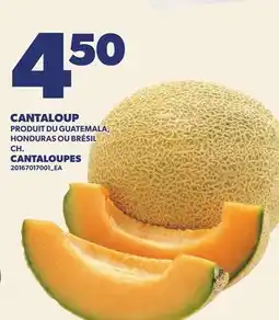Provigo CANTALOUPES offer