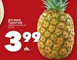 Marche Ami Gros ananas TropicalGold offer