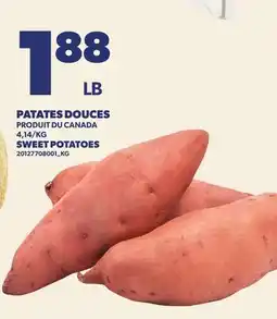 Provigo SWEET POTATOES offer
