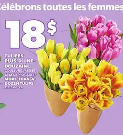 Provigo MORE-THAN-A- DOZEN TULIPS offer