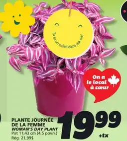 IGA WOMAN'S DAY PLANT offer