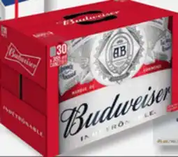 IGA BUDWEISER BEER offer