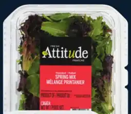 IGA ATTITUDE FRAÎCHE SPRING MIX offer
