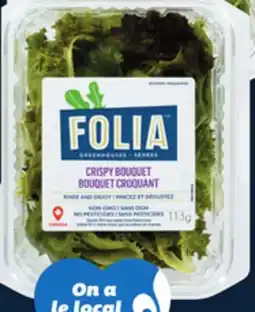 IGA FOLIA BABY SPINACH, ARUGULA OR SPRING MIX offer