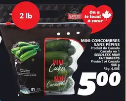 IGA SEEDLESS MINI CUCUMBERS offer