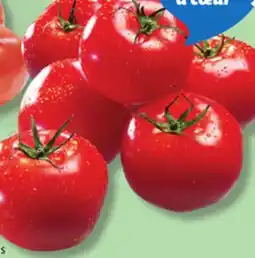 IGA ROMA ITALIAN GREENHOUSE RED TOMATOES offer