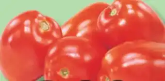 IGA ROMA ITALIAN TOMATOES offer