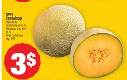Super C Gros cantaloup | Large cantaloupe offer