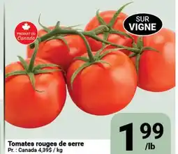 Pasquier Tomates rouges de serre offer
