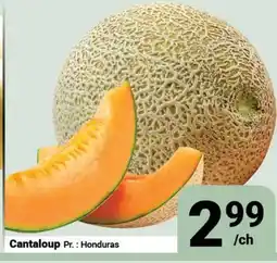 Pasquier Cantaloup offer