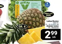Pasquier Laitue Boston Gen V Pr. : du Québec ou Ananas Golden GR. 6 Pr. : Honduras offer