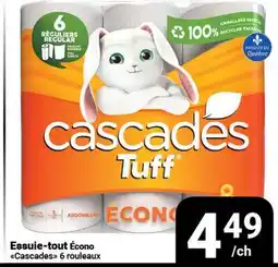 Pasquier Essuie-tout Écono Cascades offer