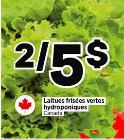 Val-Mont Laitues frisées vertes hydroponiques offer