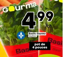 Val-Mont Basilic Gourma offer