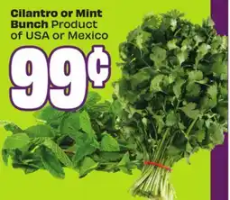 FreshCo Cilantro or Mint Bunch Product of USA or Mexico - Ramadan offer