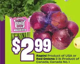 FreshCo Rapini Product of USA or Red Onions 3 lb Product of Canada, Canada No. 1 - Ramadan offer