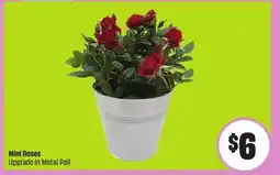 FreshCo Mini Roses Upgrade in Metal Pail offer