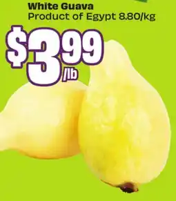 FreshCo White Guava Product of Egypt - Ramadan offer