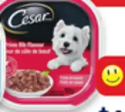 Walmart Cesar wet dog food offer