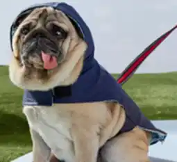 Walmart One Paw dog rain jackets offer
