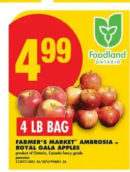 No Frills FARMER'S MARKET AMBROSIA or ROYAL GALA APPLES, 4 LB BAG offer