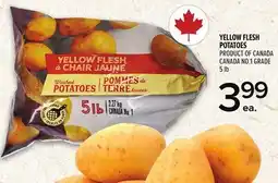 Metro YELLOW FLESH POTATOES offer