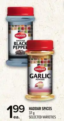 Metro HADDAR SPICES offer