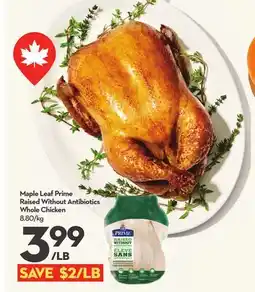 Longo's Maple Leaf Prime Raised Without Antibiotics Whole Chicken offer