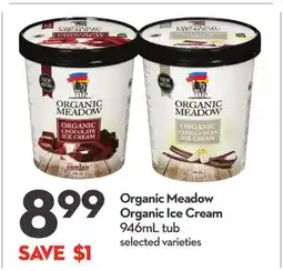 Longo's Organic Ice Cream offer