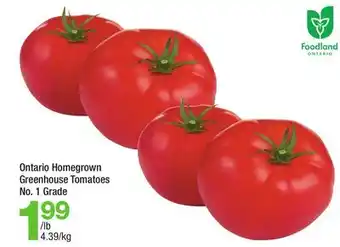 Highland Farms Ontario Homegrown Greenhouse Tomatoes offer