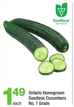 Highland Farms Ontario Homegrown Seedless Cucumbers offer