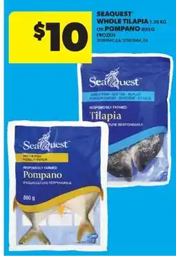 Real Canadian Superstore SEAQUEST WHOLE TILAPIA 1.36 KG OR POMPANO 800 G offer