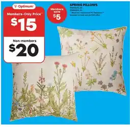Real Canadian Superstore SPRING PILLOWS offer