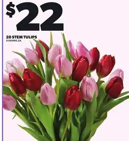 Loblaws 20 STEM TULIPS offer