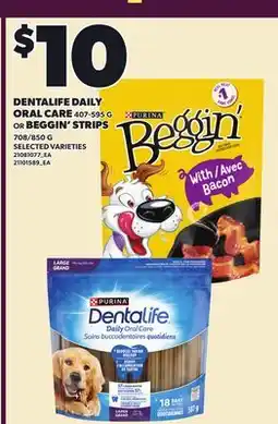 Loblaws DENTALIFE DAILY ORAL CARE, 407-595 G OR BEGGIN' STRIPS, 708/850 offer