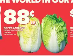 Loblaws NAPPA CABBAGE offer