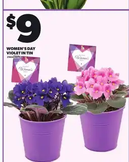 Loblaws WOMEN'S DAY VIOLET IN TIN offer