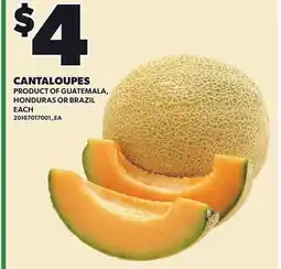 Loblaws CANTALOUPES offer