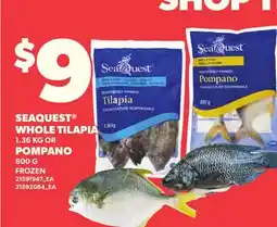 Loblaws SEAQUEST WHOLE TILAPIA 1.36 KG , OR POMPANO 800 G offer