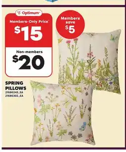 Loblaws SPRING PILLOWS offer