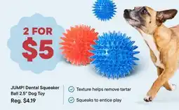 Petvalu Jump! Dental Squeaker Ball 2.5 Dog Toy offer