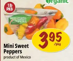 Farm Boy Mini Sweet Peppers product of Mexico offer