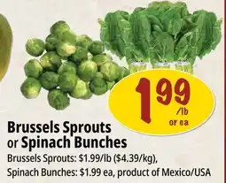 Farm Boy Brussels Sprouts or Spinach Bunches offer