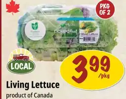 Farm Boy Living Lettuce offer