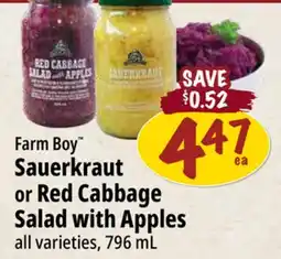 Farm Boy Farm Boy Sauerkraut or Red Cabbage Salad with Apples offer