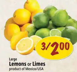 Farm Boy Large Lemons or Limes offer
