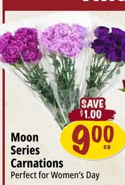 Farm Boy Moon Series Carnations offer