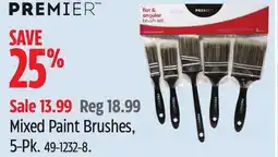 Canadian Tire PREMIER Mixed Paint Brushes offer