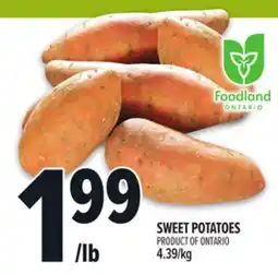 Metro SWEET POTATOES offer