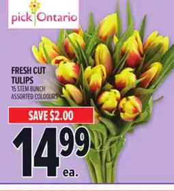 Metro FRESH CUT TULIPS offer